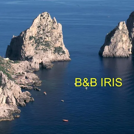 Oda ve Kahvaltı Iris