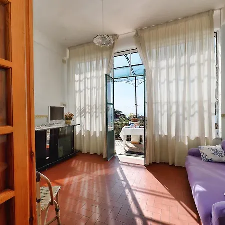 Iris Conca dei Marini