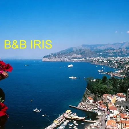 Iris