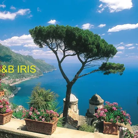 Iris * Conca dei Marini