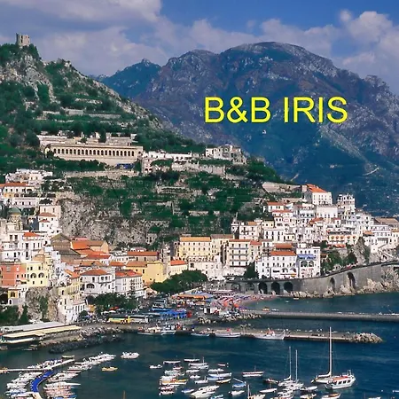 Iris 4*