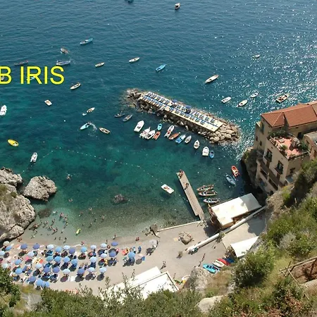 Iris * Conca dei Marini