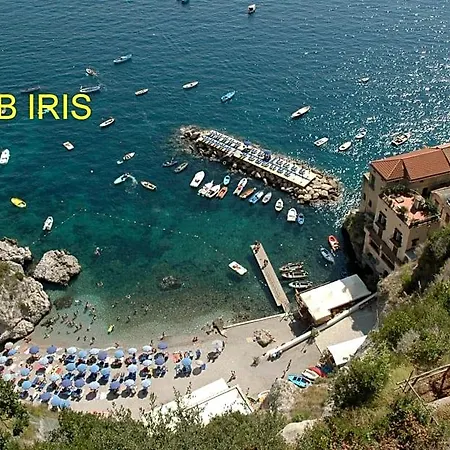 Iris