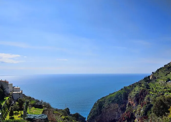 Iris Конка-дей-Марини